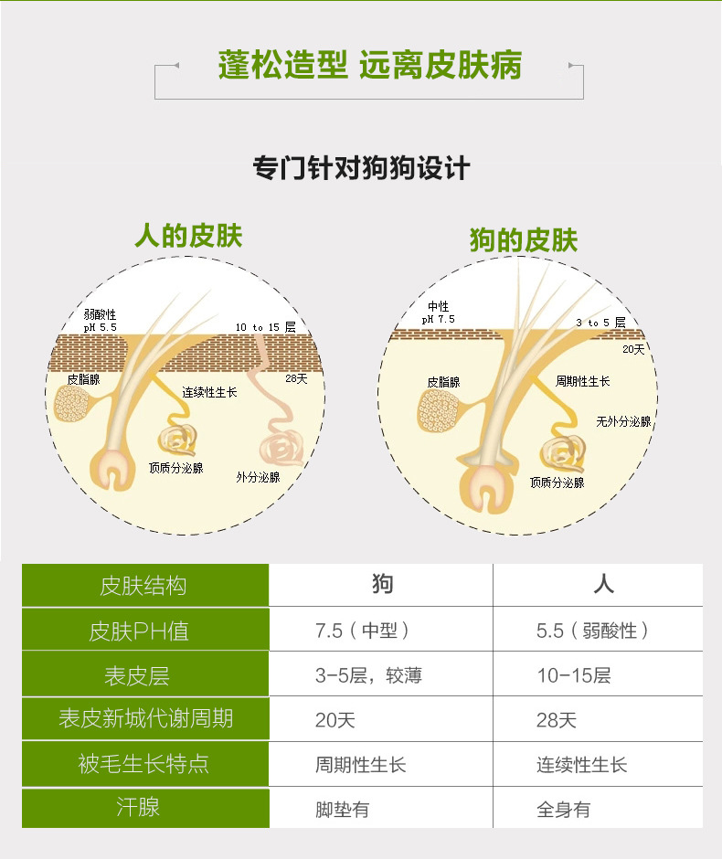 宠物开结梳 (10)