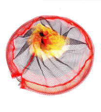 不锈钢彩色涂胶抄网头渔具抄网 圈竞技抄鱼网网抄渔具网批发