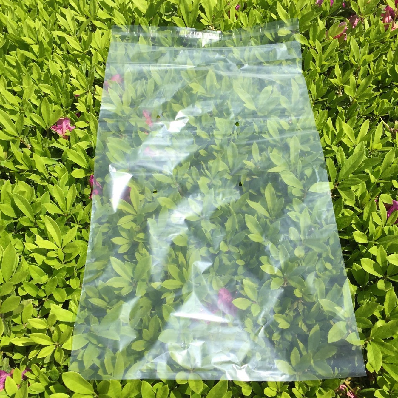 QQ图片20160419135451