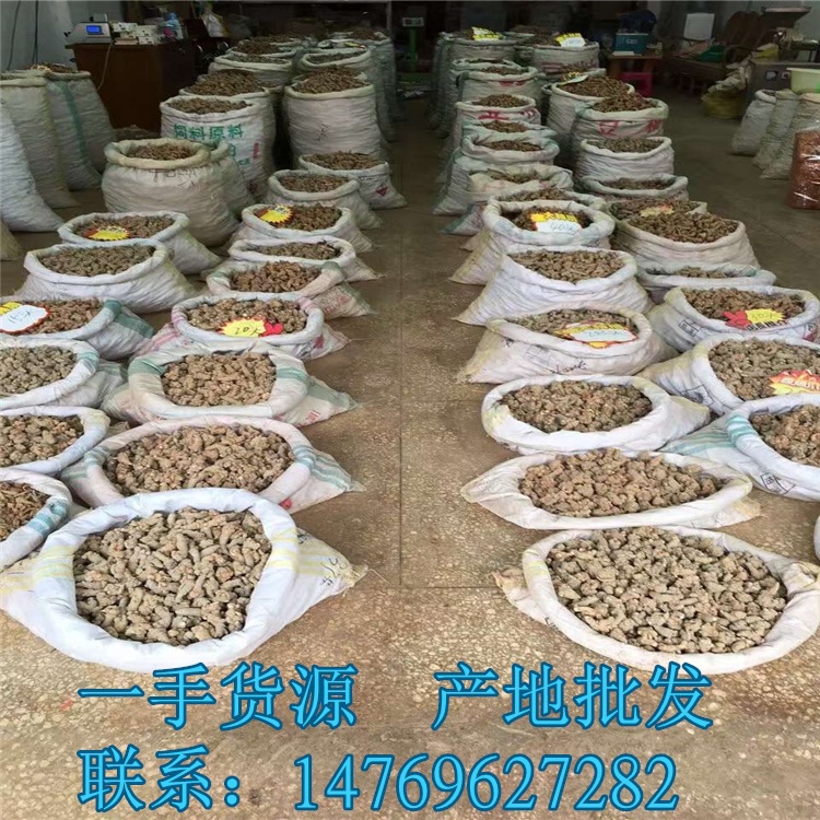 Place of Origin wholesale Wenshan three seven 20 head 30 head 40 head 60 head 80 Super Pseudo-ginseng Free of charge