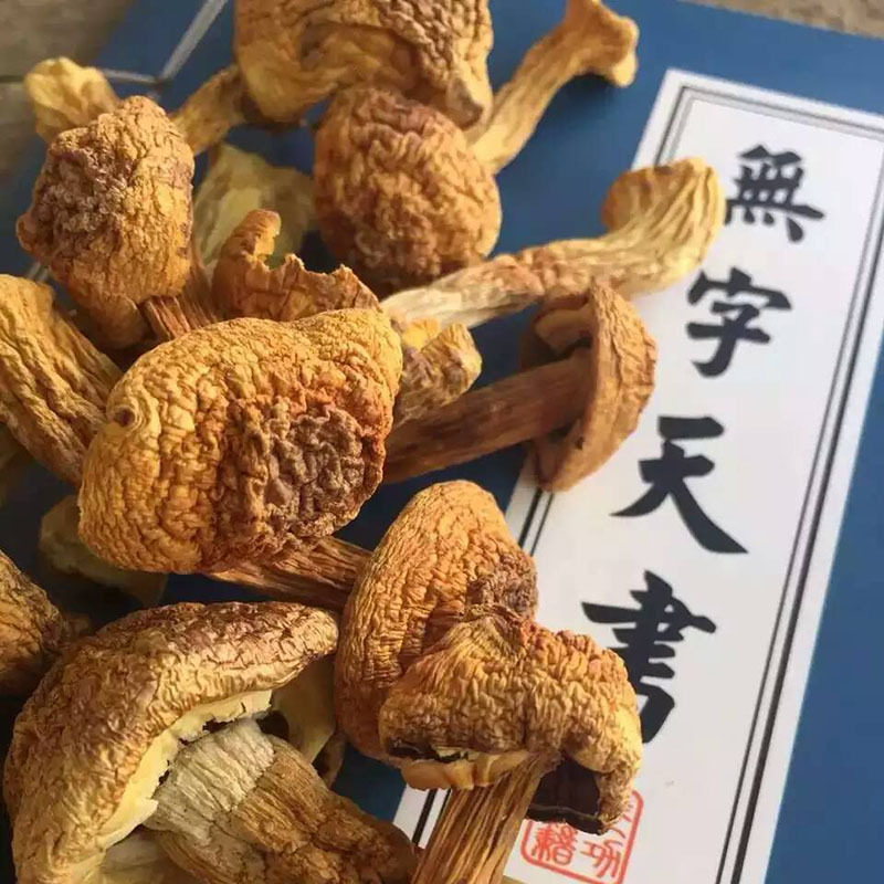 姬松茸干货批发2020年新货 云南特产农家食用菌500g散装