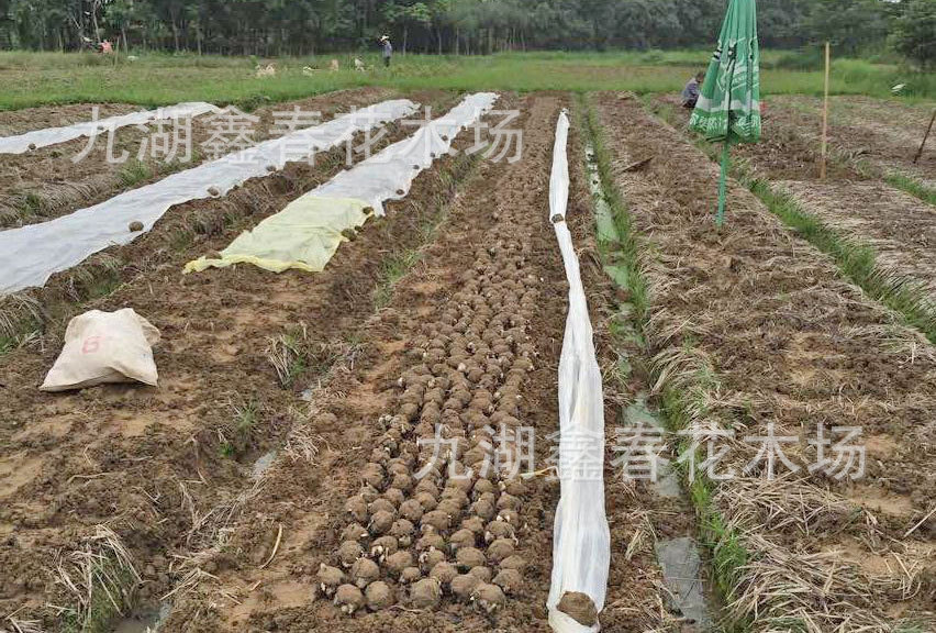 QQ图片20150606171338