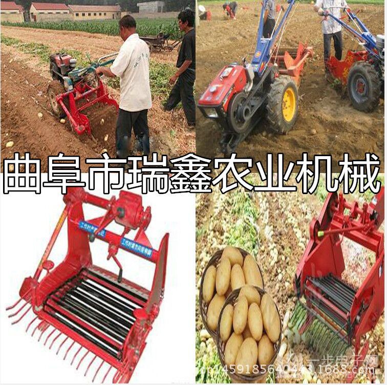 手扶车带动的收获机 收获机厂家 新款二合一型马铃薯收获机