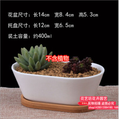 多肉花盆白色陶瓷盆簡約長方形肉肉植物小花盆白瓷綠植花盆器