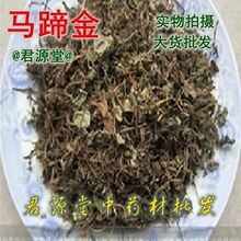 中药材 马蹄金 别名 荷包草 螺丕草 小马蹄草