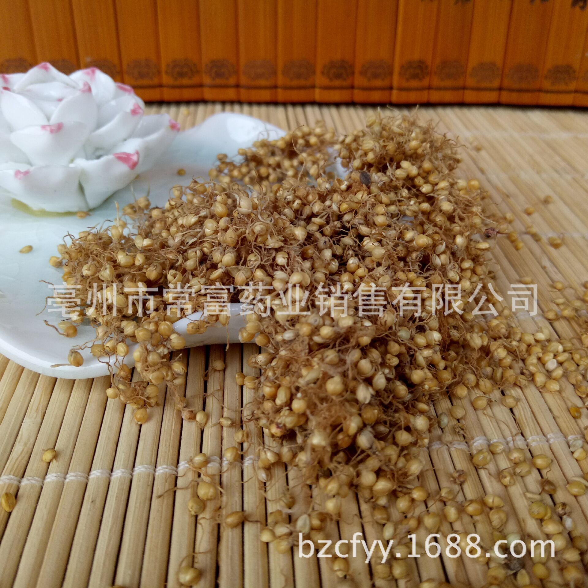 Dried Setaria Sprouted Grain Gu Ya 谷芽 Sprouted Millet Grain TCM Herbal Ingredient 500g specifications