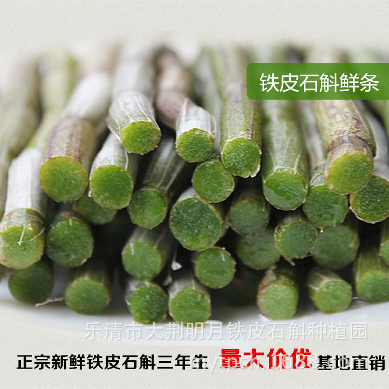 Zhejiang Yueqing Moon Dendrobium leaf A Jin 500g fresh Tin Fengdou Dendrobium