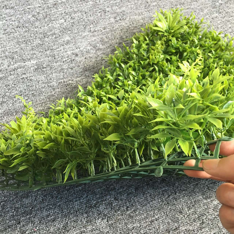 QQ图片20160707150010_副本