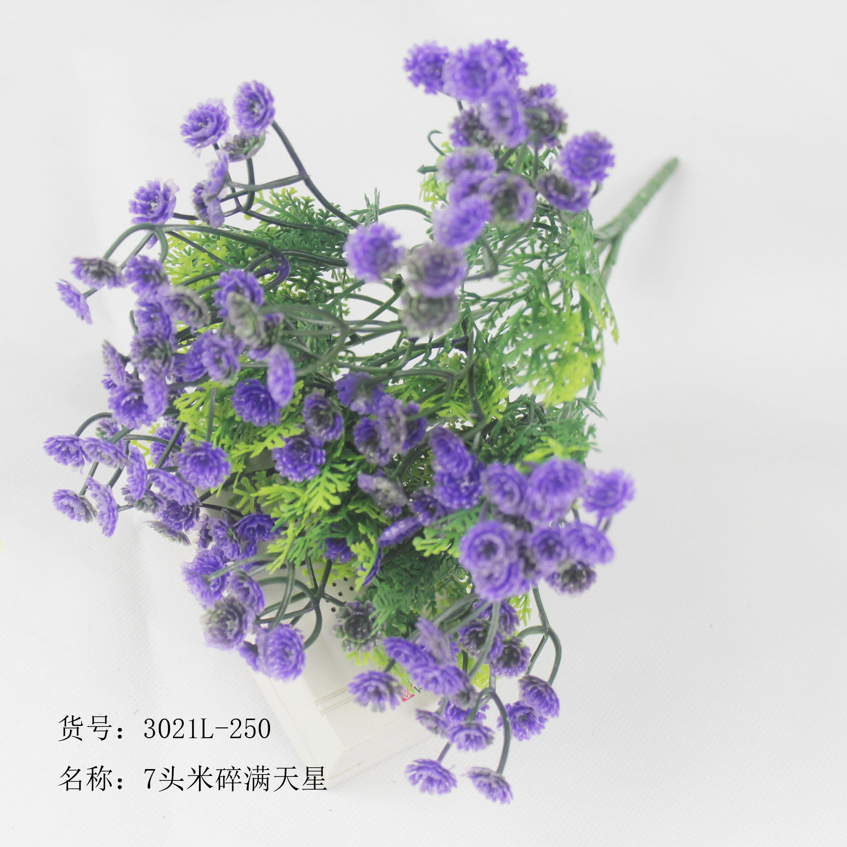 7头米穗满天星蓝色