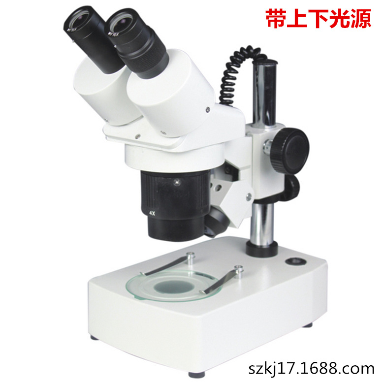 双目体视显微镜10X20X-带光源