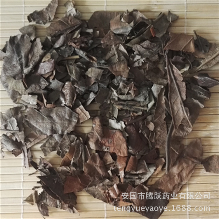 Dried Loquat Leaf Pi Pa Ye 1kg Bulk Chinese Herbal Tea Ingredient quality and texture