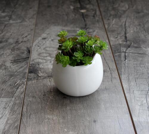 Creative European-style ceramic wall-mounted flower pots for gardening succulents hanging pots semi-circular wall-mounted pothos ceramic pots