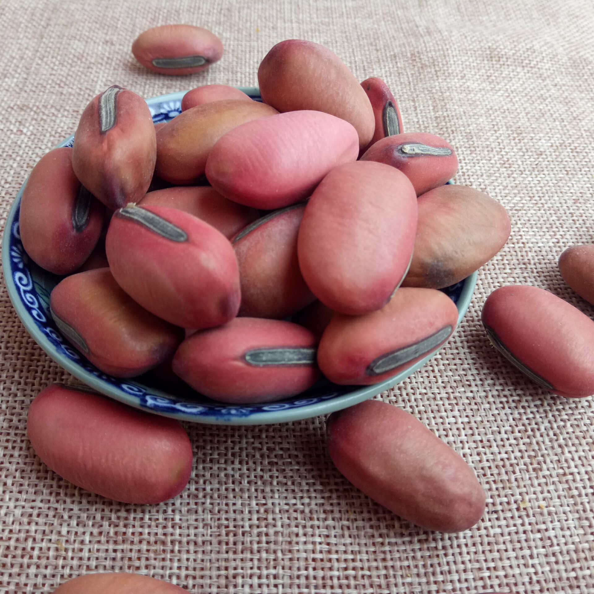 Dried Sword Bean Dao Dou Zi 500g Whole Seeds for Decoction and Craft Use quality and texture