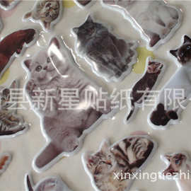猫咪动物立体海绵贴纸发泡3D泡泡贴厂家生产