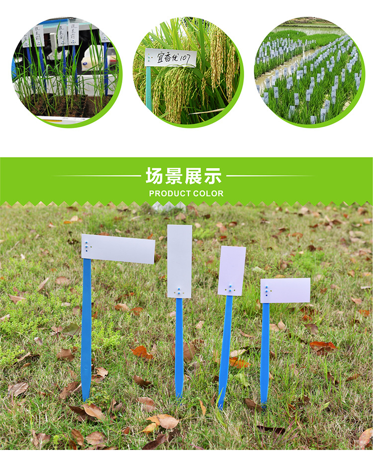 组合插地牌22_04