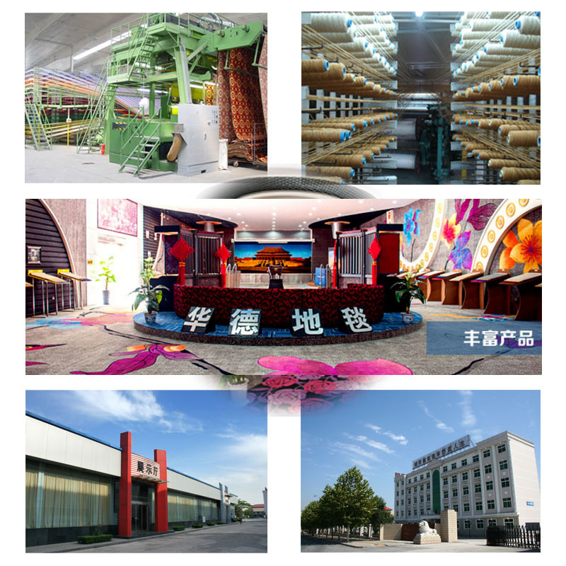 T2hQiNXitbXXXXXXXX_!!192763737