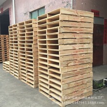 ���S�������NҎ��ľ�бP ��Ѭ���������ڿ��� �z�ϰ� ���Ӱ�