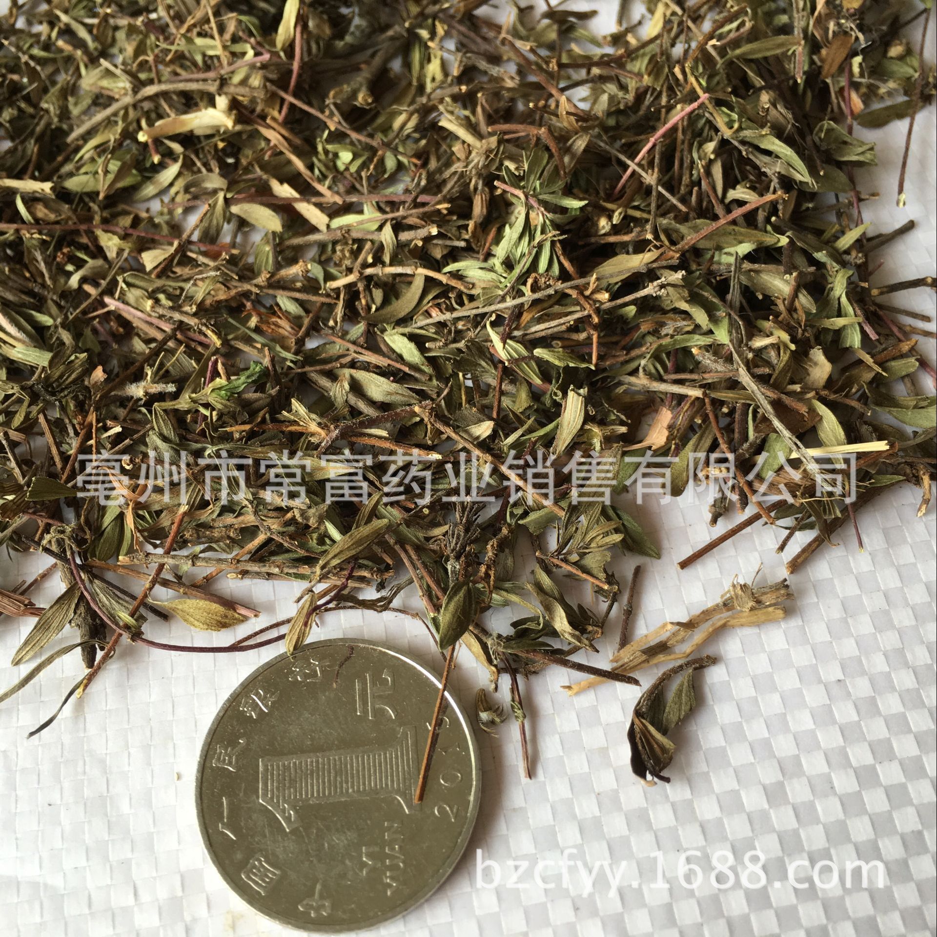 Dried Thyme Herb Bai Li Xiang 500g Culinary Seasoning for Western Cooking and Herbal Tea in use