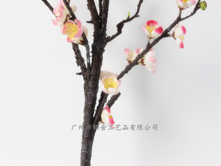 明细5