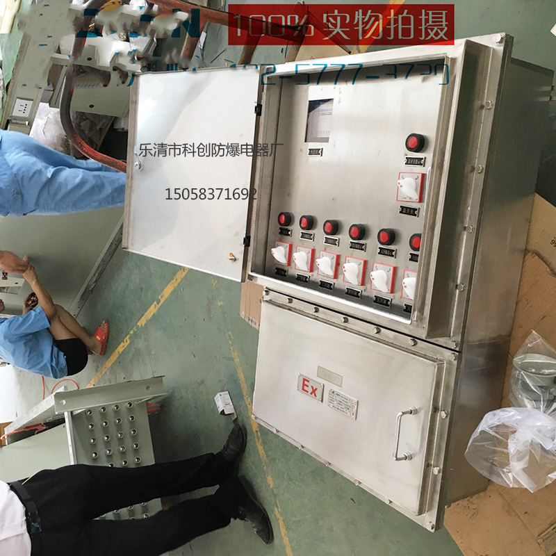 氨水泵 胺泵防爆操作箱双门带锁控制箱 防水防尘开关箱BXM-S