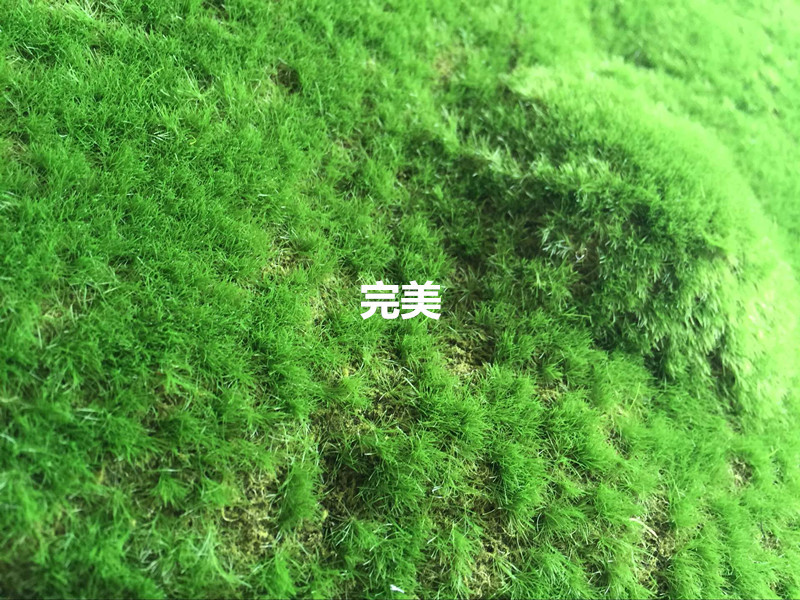 QQ图片20160707150616_副本