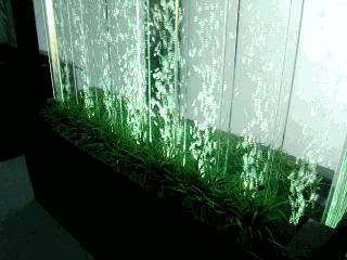 1299016060_1378507484