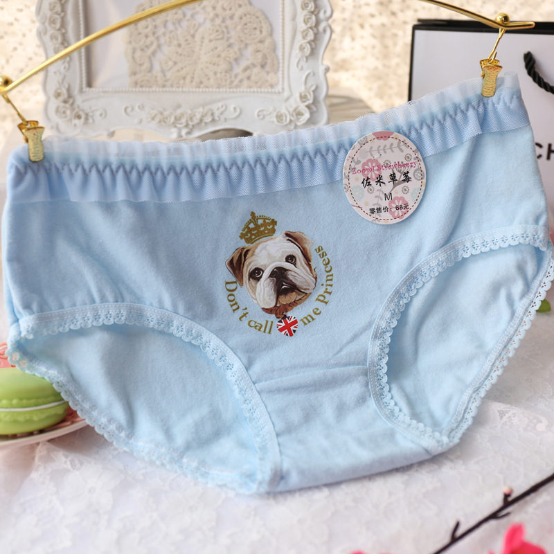 Slip jeune A035 en coton - Ref 647956 Image 20