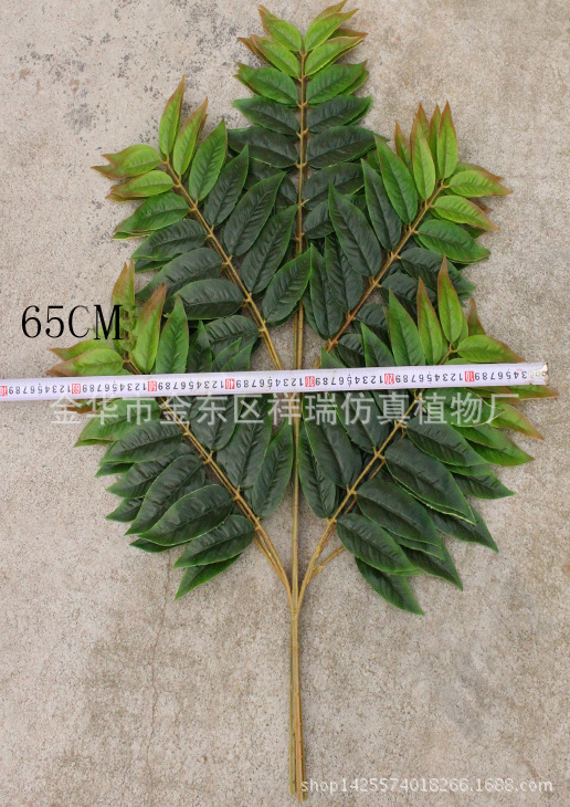 XRB-150天堂叶五叉枝1