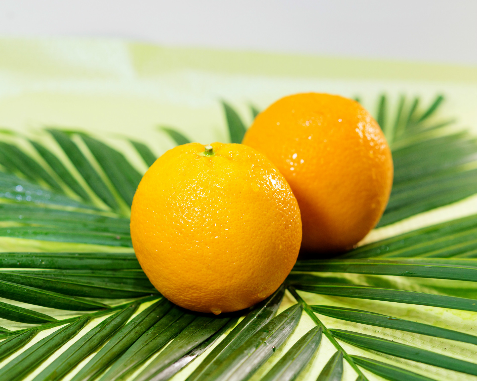 寻乌脐橙_广西脐橙实惠小果丑果 寻乌甜脐橙产