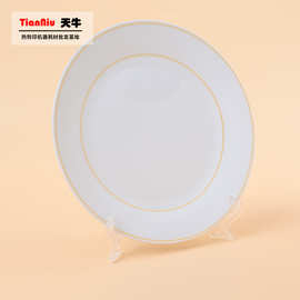 欧式工艺品热转印圆形金边盘瓷板画 热转印空白瓷板画耗材JBP-8