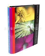 蒙赛尔植物组织标准色卡 MUNSELL-12