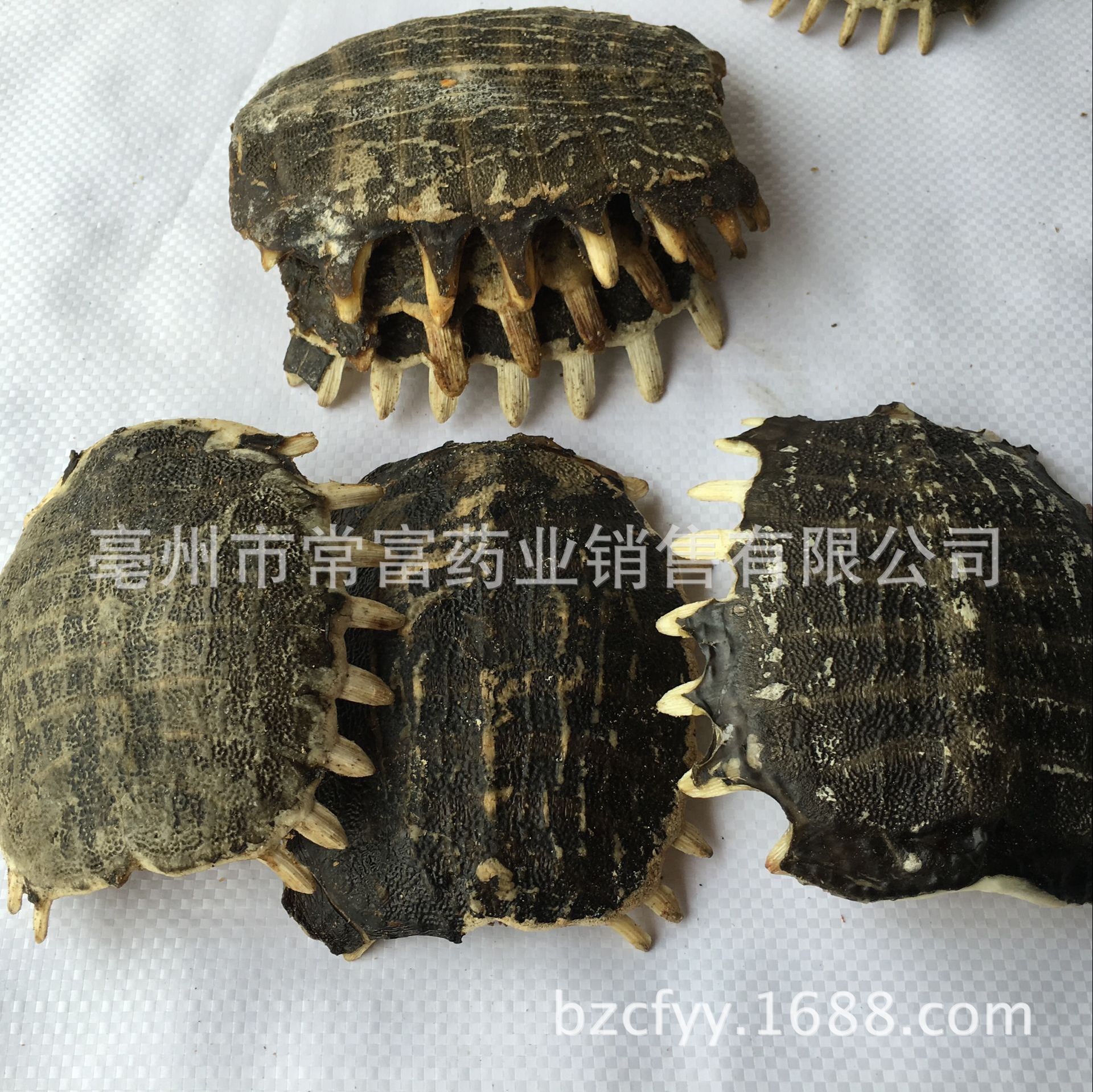 Dried Turtle Shell Bie Jia 500g Traditional Chinese Herb for Culinary Decoction Use key features
