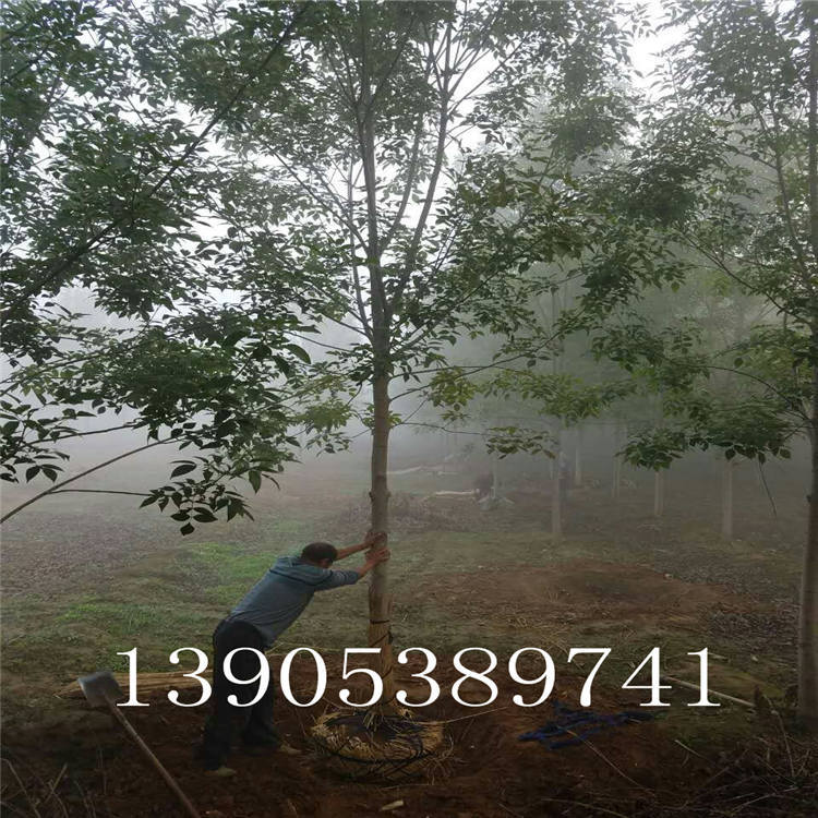 mmexport1475638091243