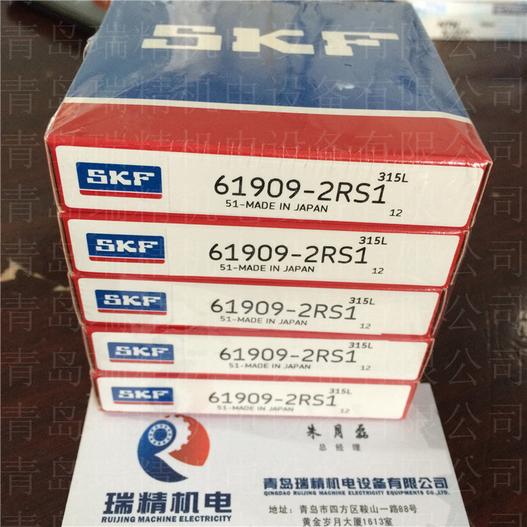 SKF61909-2RS1 (2)