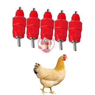 Курица с куриным шариком курица для водонагревателя с стыковкой питьевой водонагреватель шариковой клапан -тип водонагреватель для автоматической питьевой водонагреватель