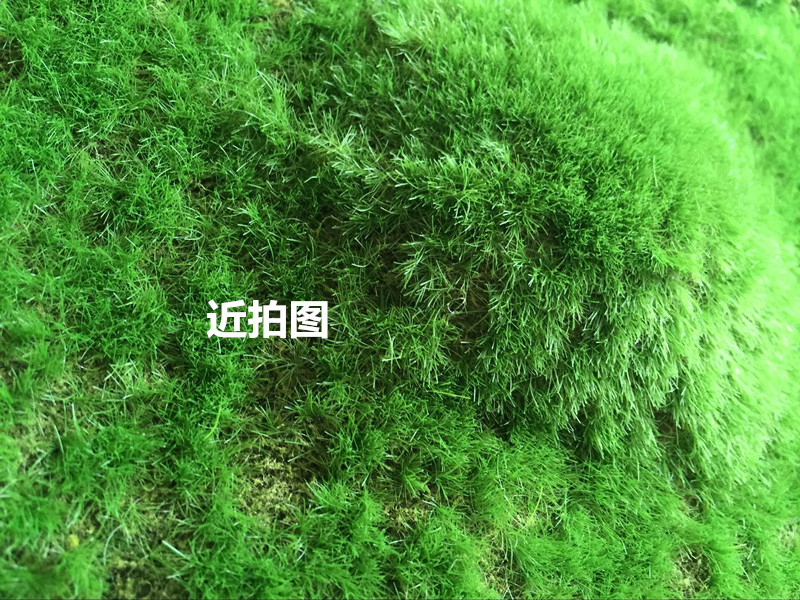 QQ图片20160707150524_副本