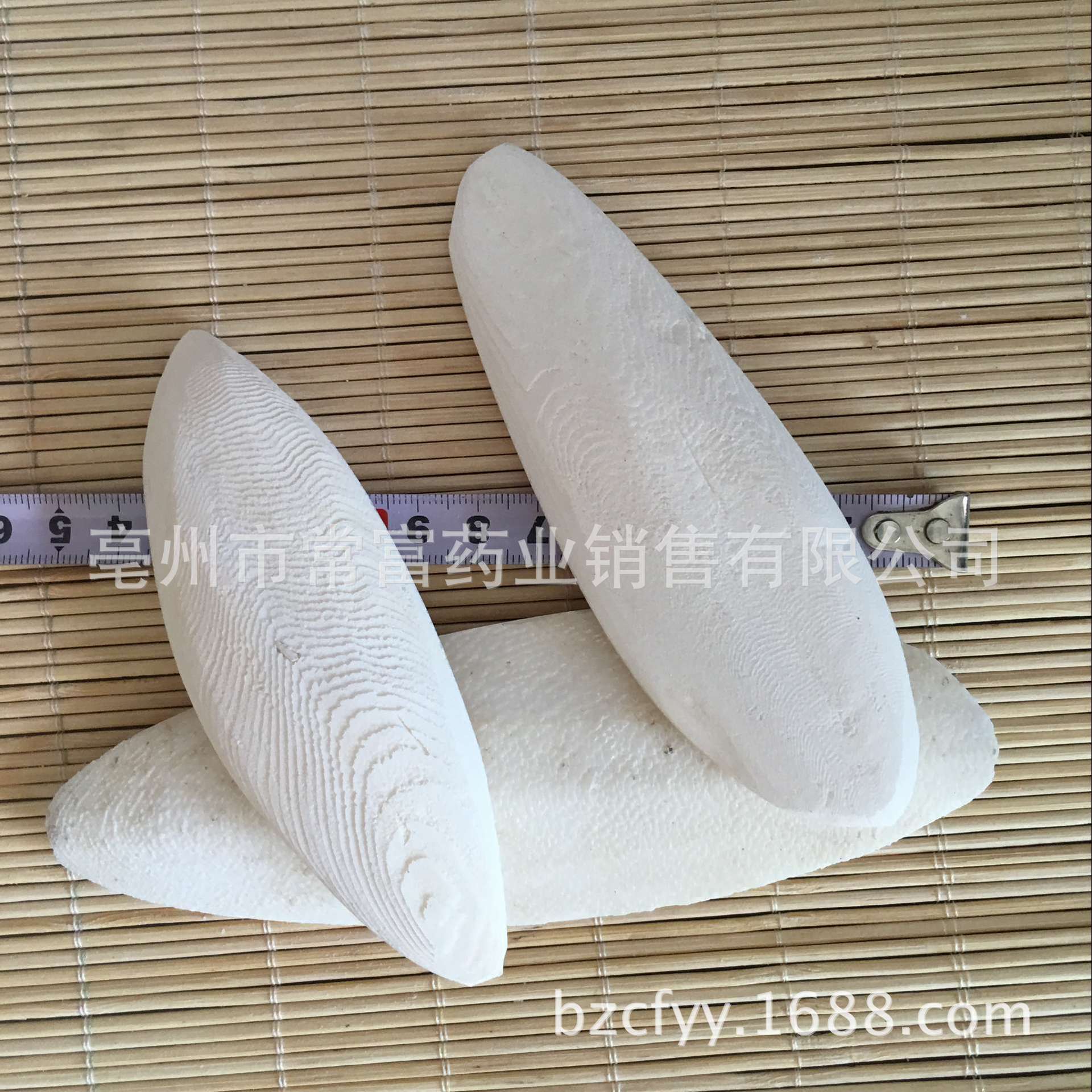 Cuttlebone Hai Piao Xiao 海螵蛸 Dried Cuttlefish Bone 500g Natural Sun Dried Whole Form in use