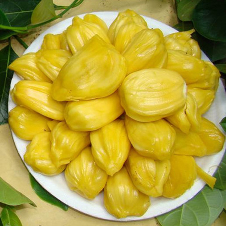 食用香精2494菠萝蜜香精用于饮品果酱糖果饵料清甜菠萝蜜风味