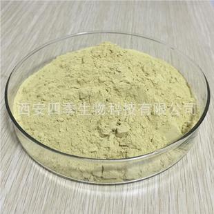 �J�� NF11 95% ��Ʒ�| ������ȡ�� �ļ����� �F؛����