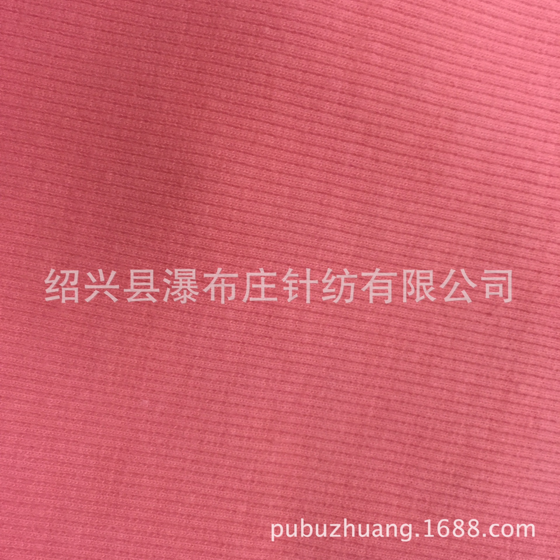厂家直销针织全棉氨纶罗纹布 高档2X2全棉70D高弹罗纹面料