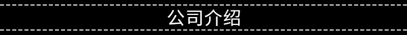 公司介绍