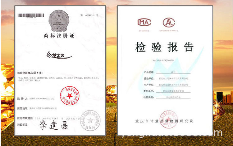 龍之藝-傢用刀具廚房全套組合不銹鋼鍛打菜刀砍骨刀套裝五件套刀