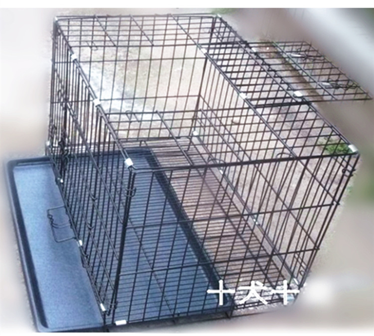 QQ截图20120626100410