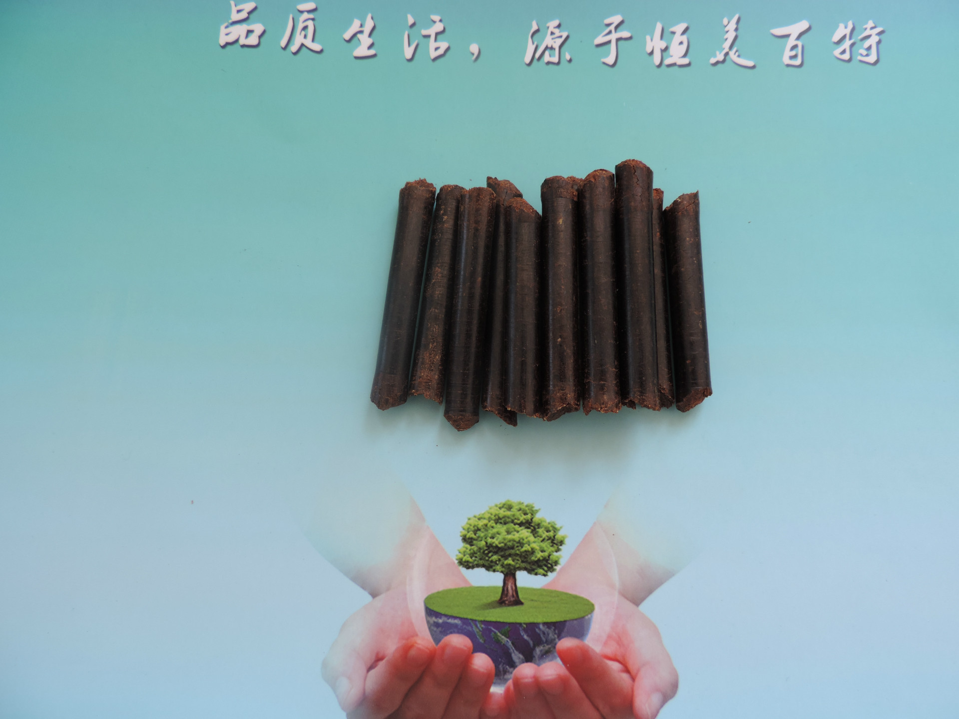 3091232909_546749280