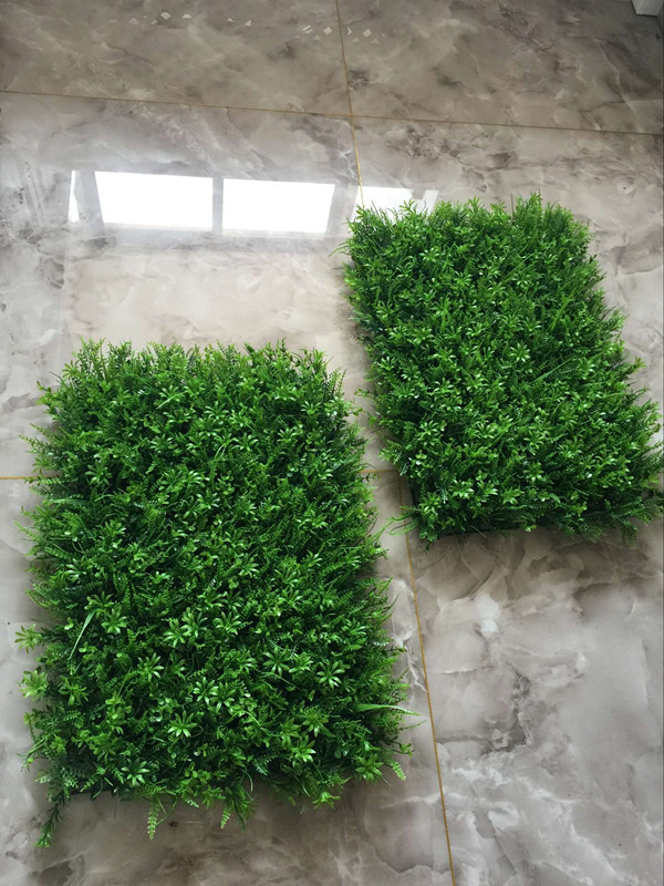 QQ图片20160707150338_副本