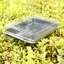 ʳƷ���b�� ͸�����Ϻ� һ���Դ����