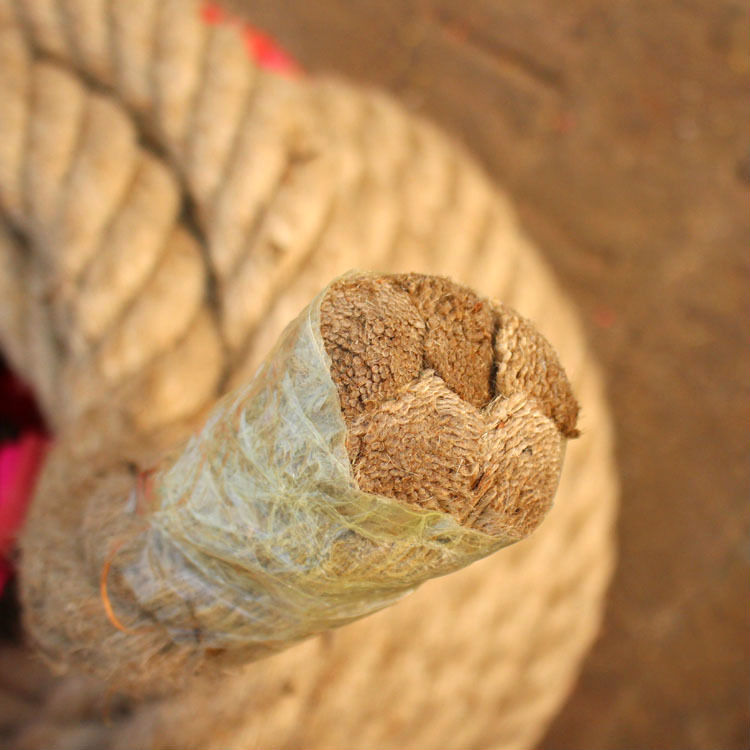 2721985621_1261086338