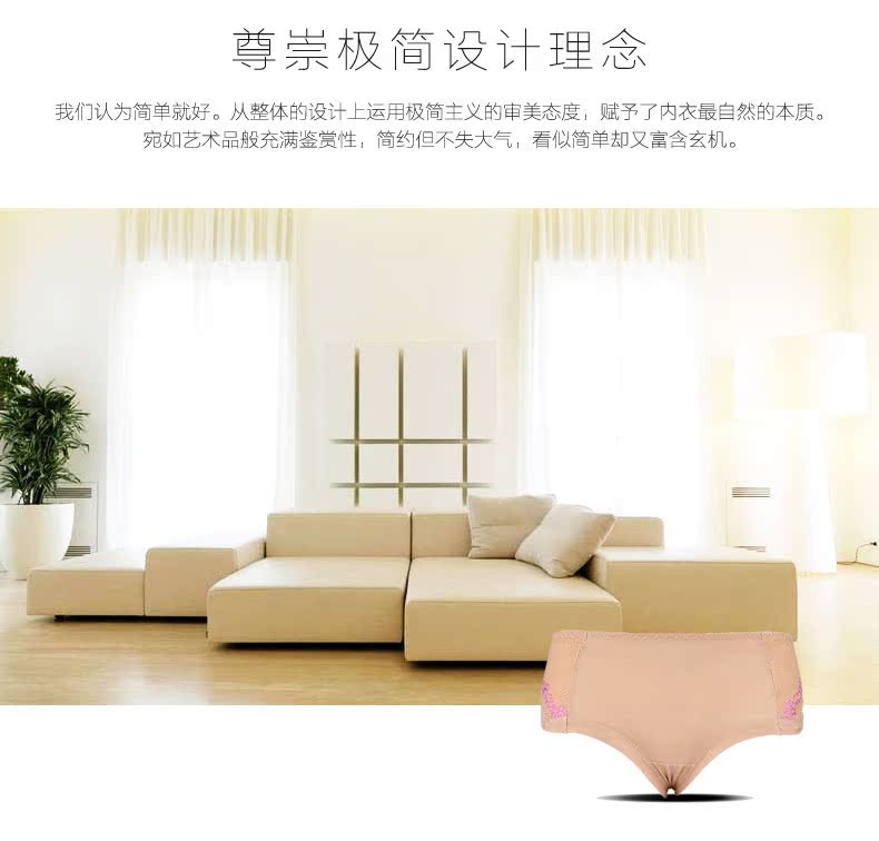 Slip K-10-17-2521 - Ref 650109 Image 8