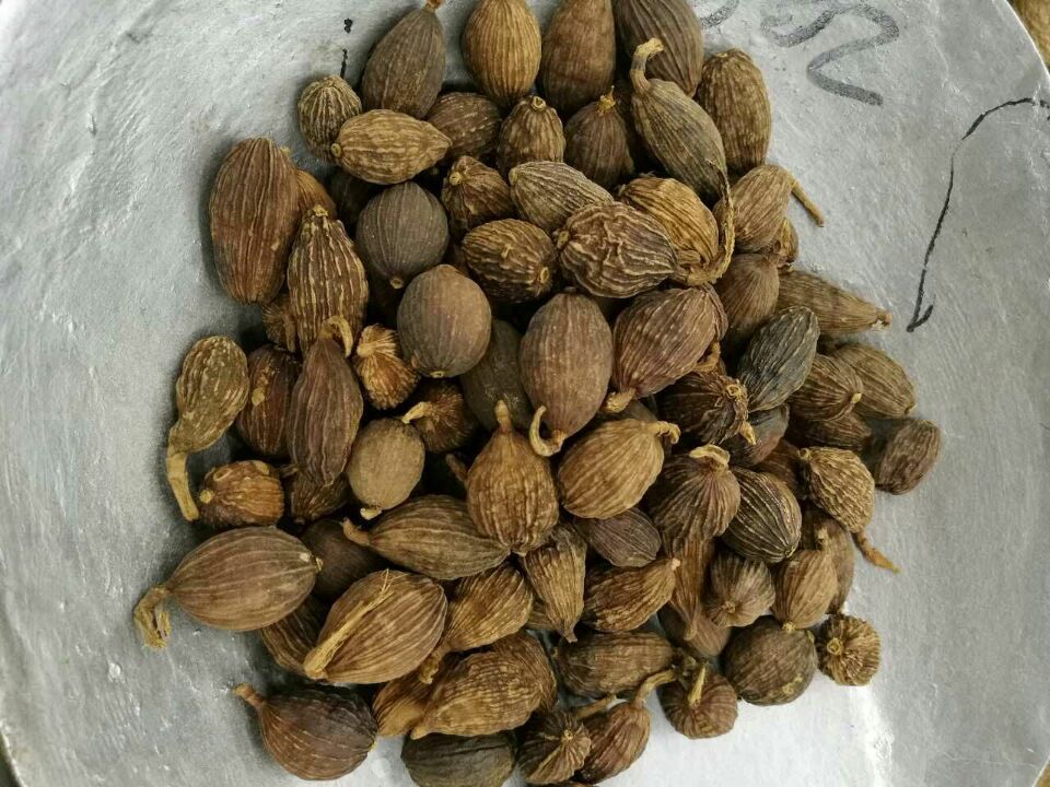 7D59A5A5CB92D5FFA260297966C464