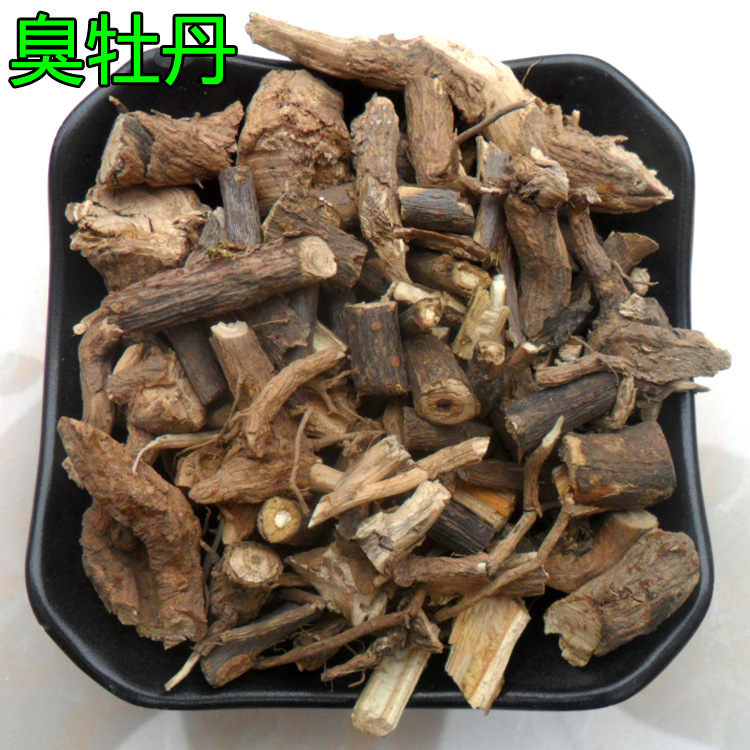 臭牡丹7